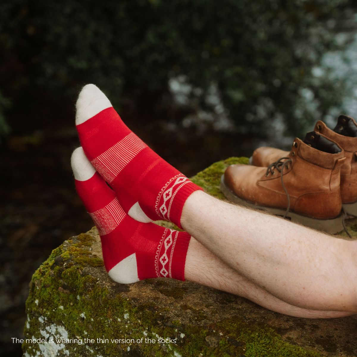 Adventurer Žemas kirpimas (2 poros)