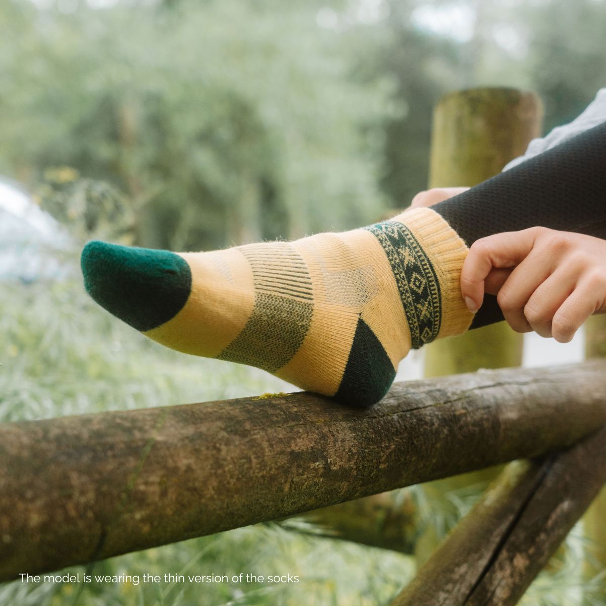 Traveler Žemas kirpimas (2 poros)